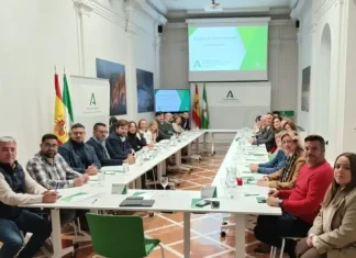 El Consorcio de Transportes Metropolitano de Málaga alcanza en 2025 un récord histórico con 32 millones de viajeros