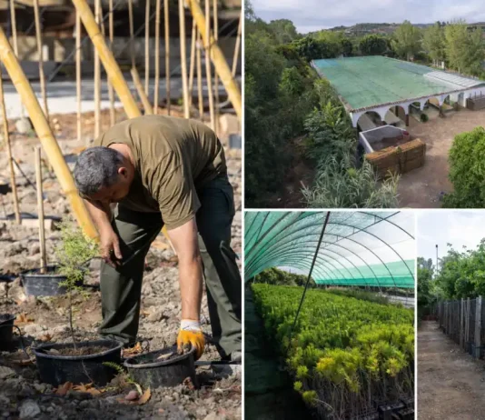 Los viveros de la Diputación de Málaga producen más de 7.500 plantas en 2025