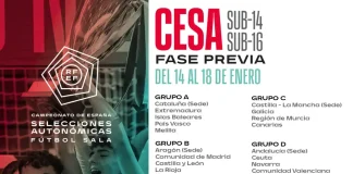 La fase previa del Campeonato de España de Selecciones Autonómicas Masculinas de Fútbol Sala Sub14 y Sub16 se celebrará en Málaga con el apoyo de la Diputación