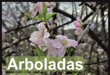 Las Arboladas de invierno visitarán Parauta, Alameda y Moclinejo en el mes de marzo Las Arboladas de invierno visitarán Parauta, Alameda y Moclinejo en el mes de marzo