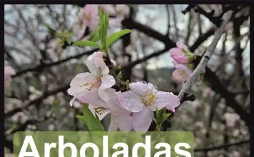 Las Arboladas de invierno visitarán Parauta, Alameda y Moclinejo en el mes de marzo Las Arboladas de invierno visitarán Parauta, Alameda y Moclinejo en el mes de marzo