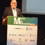 Joaquín Villanova reclama coordinación municipal y liderazgo de la Junta para impulsar el crecimiento del área metropolitana y el Guadalhorce