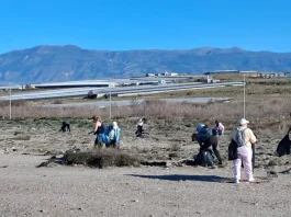 Determinación para pasar a la acción Determinación para pasar a la acción