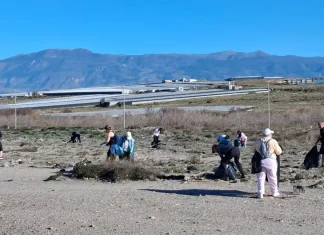 Determinación para pasar a la acción