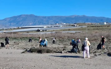 Determinación para pasar a la acción