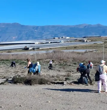 Determinación para pasar a la acción Determinación para pasar a la acción
