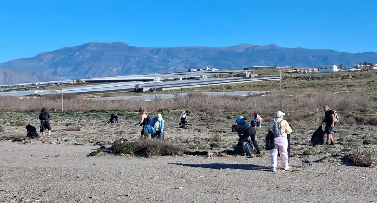 Determinación para pasar a la acción