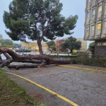 La Junta cifra en 14 millones de euros los daños en los centros sanitarios por el temporal