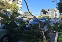 La EMA 1-1-2 reduce incidencias del temporal en Andalucía mientras 50 personas siguen desalojadas en Málaga La EMA 1-1-2 reduce incidencias del temporal en Andalucía mientras 50 personas siguen desalojadas en Málaga