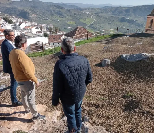 La Junta subvenciona la instalación de una pasarela en el Castillo de Casarabonela para poner en valor sus restos arqueológicos
