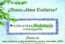 Ecovidrio, la Junta de Andalucía y la FAMP lanzan la 2º Edición de Ecólatras Andalucía