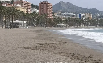 Málaga florece en primavera: la provincia se convierte en verso en el Día Mundial de la Poesía