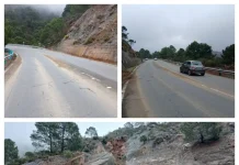 La Junta aclara que el corte de la A-397 entre Ronda y San Pedro fue puntual y por labores de mantenimiento