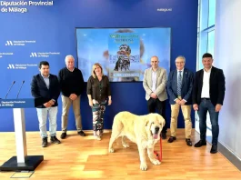 Archidona celebra este fin de semana la 33 edición de la Feria del Perro que espera recibir a más de 1.000 canes de más de 80 razas
