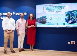 La Diputación organiza en Cortes de la Frontera una ruta inmersiva para detectar oportunidades económicas en torno a la transformación del corcho La Diputación organiza en Cortes de la Frontera una ruta inmersiva para detectar oportunidades económicas en torno a la transformación del corcho