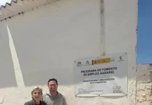 La Junta ayuda a Sierra de Yeguas a mejorar calles y redes de abastecimiento gracias al PFEA La Junta ayuda a Sierra de Yeguas a mejorar calles y redes de abastecimiento gracias al PFEA