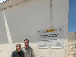 La Junta ayuda a Sierra de Yeguas a mejorar calles y redes de abastecimiento gracias al PFEA La Junta ayuda a Sierra de Yeguas a mejorar calles y redes de abastecimiento gracias al PFEA