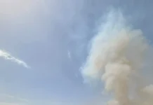 La UPA esclarece el incendio provocado en el Paraje Portugalejo, en Canillas de Aceituno La UPA esclarece el incendio provocado en el Paraje Portugalejo, en Canillas de Aceituno