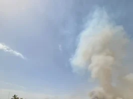 La UPA esclarece el incendio provocado en el Paraje Portugalejo, en Canillas de Aceituno La UPA esclarece el incendio provocado en el Paraje Portugalejo, en Canillas de Aceituno