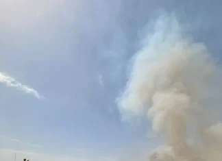 La UPA esclarece el incendio provocado en el Paraje Portugalejo, en Canillas de Aceituno La UPA esclarece el incendio provocado en el Paraje Portugalejo, en Canillas de Aceituno