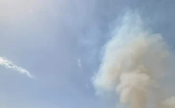 La UPA esclarece el incendio provocado en el Paraje Portugalejo, en Canillas de Aceituno La UPA esclarece el incendio provocado en el Paraje Portugalejo, en Canillas de Aceituno