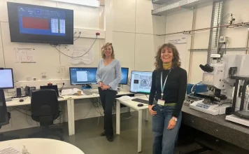 Investigadores avanzan en el estudio del glioblastoma en el laboratorio utilizando materiales de vanguardia