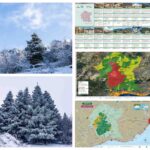 La UNESCO amplía la Reserva de la Biosfera Sierra de las Nieves y refuerza la protección de 14 municipios de Málaga La UNESCO amplía la Reserva de la Biosfera Sierra de las Nieves y refuerza la protección de 14 municipios de Málaga