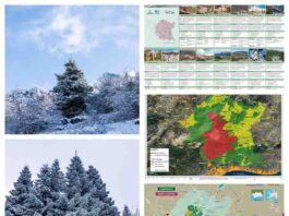 La UNESCO amplía la Reserva de la Biosfera Sierra de las Nieves y refuerza la protección de 14 municipios de Málaga La UNESCO amplía la Reserva de la Biosfera Sierra de las Nieves y refuerza la protección de 14 municipios de Málaga