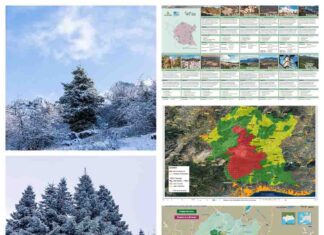 La UNESCO amplía la Reserva de la Biosfera Sierra de las Nieves y refuerza la protección de 14 municipios de Málaga La UNESCO amplía la Reserva de la Biosfera Sierra de las Nieves y refuerza la protección de 14 municipios de Málaga