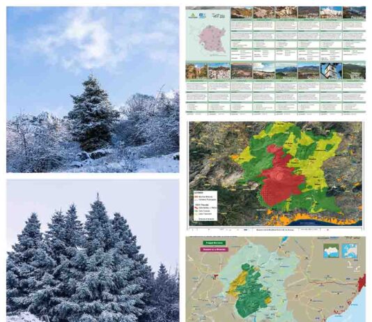 La UNESCO amplía la Reserva de la Biosfera Sierra de las Nieves y refuerza la protección de 14 municipios de Málaga La UNESCO amplía la Reserva de la Biosfera Sierra de las Nieves y refuerza la protección de 14 municipios de Málaga