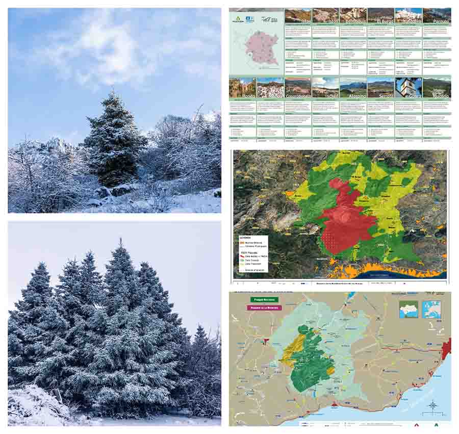 La UNESCO amplía la Reserva de la Biosfera Sierra de las Nieves y refuerza la protección de 14 municipios de Málaga