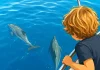 María y la ciudad de los delfines María y la ciudad de los delfines