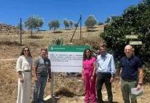 El delegado de Agricultura visita el avance de las obras de emergencia en cauces y caminos dañados por el tren de borrascas El delegado de Agricultura visita el avance de las obras de emergencia en cauces y caminos dañados por el tren de borrascas