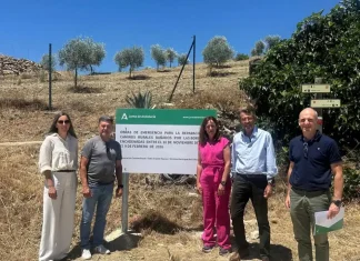El delegado de Agricultura visita el avance de las obras de emergencia en cauces y caminos dañados por el tren de borrascas El delegado de Agricultura visita el avance de las obras de emergencia en cauces y caminos dañados por el tren de borrascas