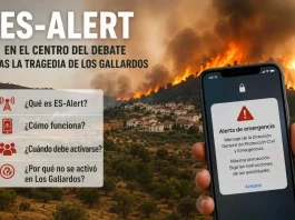 ES-Alert y el incendio de Los Gallardos: por qué se debate la no activación de las alertas móviles de emergencia ES-Alert y el incendio de Los Gallardos: por qué se debate la no activación de las alertas móviles de emergencia