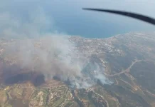 Más de 40 bomberos y 15 vehículos participaron en el gran operativo contra el incendio de Benahavís Más de 40 bomberos y 15 vehículos participaron en el gran operativo contra el incendio de Benahavís