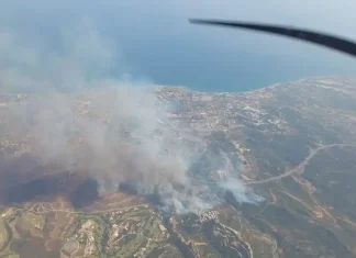 Más de 40 bomberos y 15 vehículos participaron en el gran operativo contra el incendio de Benahavís Más de 40 bomberos y 15 vehículos participaron en el gran operativo contra el incendio de Benahavís