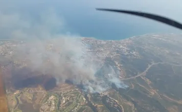 Más de 40 bomberos y 15 vehículos participaron en el gran operativo contra el incendio de Benahavís Más de 40 bomberos y 15 vehículos participaron en el gran operativo contra el incendio de Benahavís