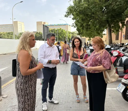 PSOE reclama la apertura inmediata del nuevo aparcamiento del Hospital Civil de Málaga PSOE reclama la apertura inmediata del nuevo aparcamiento del Hospital Civil de Málaga