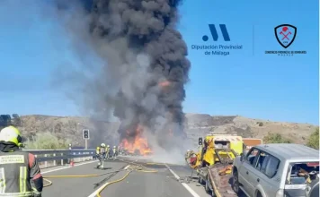 Grave accidente con incendio de vehículo y fuego forestal asi como al menos 1 fallecido junto a la AP-7 en Benahavís Grave accidente con incendio de vehículo y fuego forestal junto a la AP-7 en Benahavís