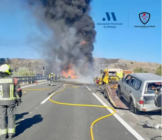 Grave accidente con incendio de vehículo y fuego forestal asi como al menos 1 fallecido junto a la AP-7 en Benahavís Grave accidente con incendio de vehículo y fuego forestal junto a la AP-7 en Benahavís