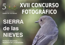La Sierra de las Nieves convoca su XVII Concurso Fotográfico para mostrar la riqueza natural y rural del Parque Nacional La Sierra de las Nieves convoca su XVII Concurso Fotográfico para mostrar la riqueza natural y rural del Parque Nacional