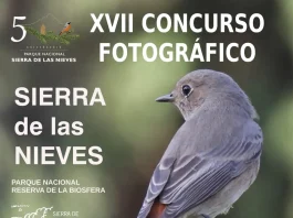 La Sierra de las Nieves convoca su XVII Concurso Fotográfico para mostrar la riqueza natural y rural del Parque Nacional La Sierra de las Nieves convoca su XVII Concurso Fotográfico para mostrar la riqueza natural y rural del Parque Nacional