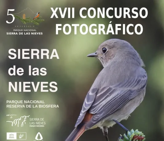 La Sierra de las Nieves convoca su XVII Concurso Fotográfico para mostrar la riqueza natural y rural del Parque Nacional La Sierra de las Nieves convoca su XVII Concurso Fotográfico para mostrar la riqueza natural y rural del Parque Nacional