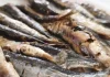 Playamar reunirá a los mejores espeteros en la gran final del XII Concurso de Espetos de la Costa del Sol Sardinas espetos