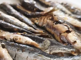Playamar reunirá a los mejores espeteros en la gran final del XII Concurso de Espetos de la Costa del Sol Sardinas espetos