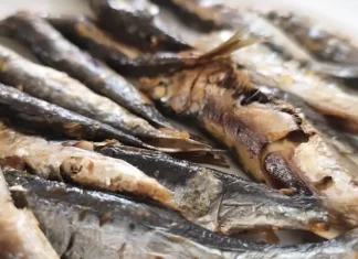 Playamar reunirá a los mejores espeteros en la gran final del XII Concurso de Espetos de la Costa del Sol Sardinas espetos