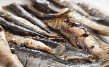 Playamar reunirá a los mejores espeteros en la gran final del XII Concurso de Espetos de la Costa del Sol Sardinas espetos
