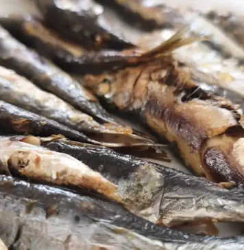 Playamar reunirá a los mejores espeteros en la gran final del XII Concurso de Espetos de la Costa del Sol Sardinas espetos