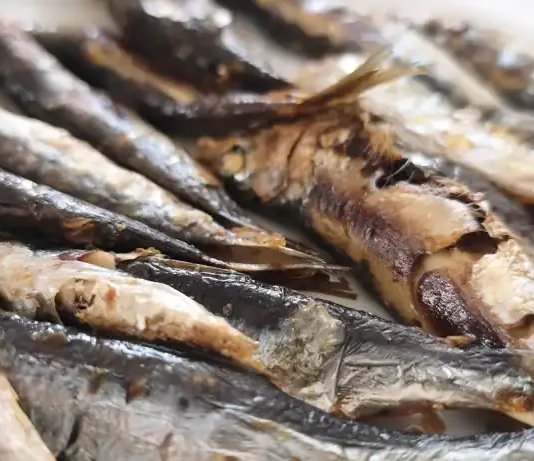 Playamar reunirá a los mejores espeteros en la gran final del XII Concurso de Espetos de la Costa del Sol Sardinas espetos